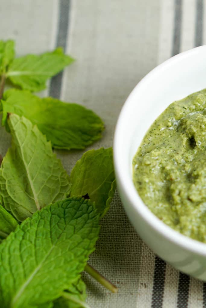 Quick 5 minute Mint Chutney recipe using only 5 ingredients. Healthy, gluten free, dairy free, and a great way to use leftover herbs. 