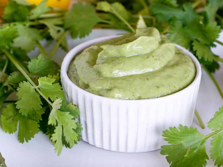 Simple 5 ingredient Creamy Avocado Cilantro Sauce Recipe makes a great Paleo or Whole 30 salad dressing or side sauce that's gluten free and dairy free.