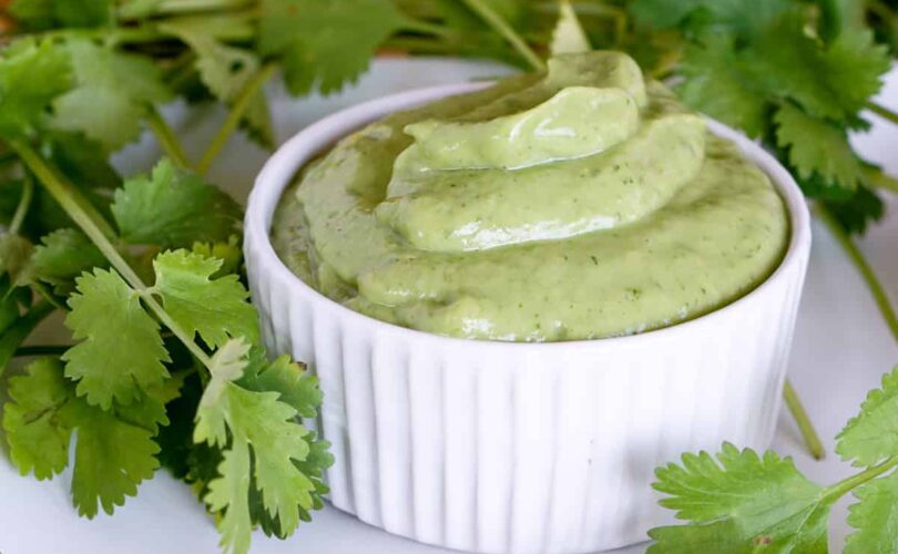 Simple 5 ingredient Creamy Avocado Cilantro Sauce Recipe makes a great Paleo or Whole 30 salad dressing or side sauce that's gluten free and dairy free.