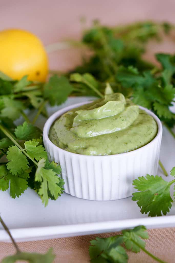 Simple 5 ingredient Creamy Avocado Cilantro Sauce Recipe makes a great Paleo or Whole 30 salad dressing or side sauce that's gluten free and dairy free.