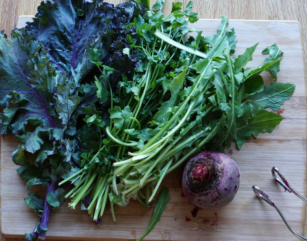 Fresh Kale, Parsley, Dandelion Greens and Beets