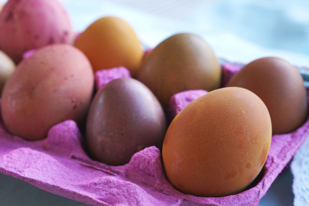 Multi colored Easter eggs in a pink egg carton