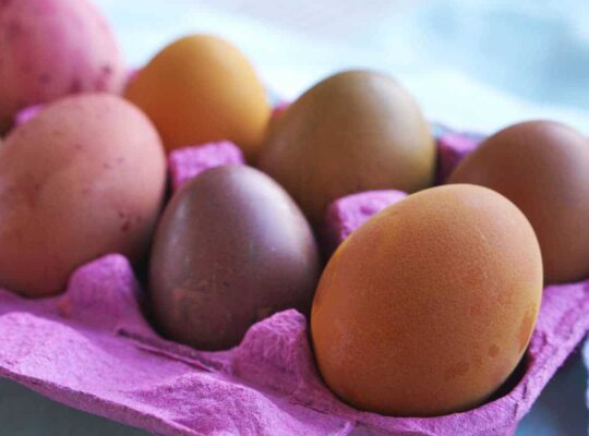 Multi colored Easter eggs in a pink egg carton