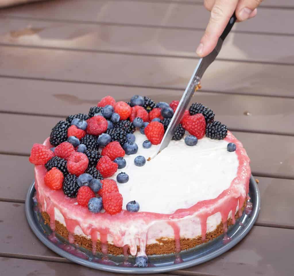 A slightly nutty and naturally fruit flavored Rhubarb Cashew Ice Cream Cake Recipe that's dairy free, gluten free, soy free, egg free and vegan.