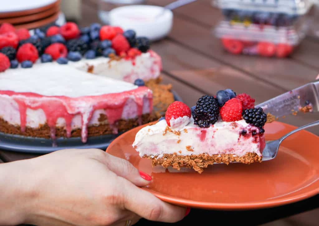 A slightly nutty and naturally fruit flavored Rhubarb Cashew Ice Cream Cake Recipe that's dairy free, gluten free, soy free, egg free and vegan.