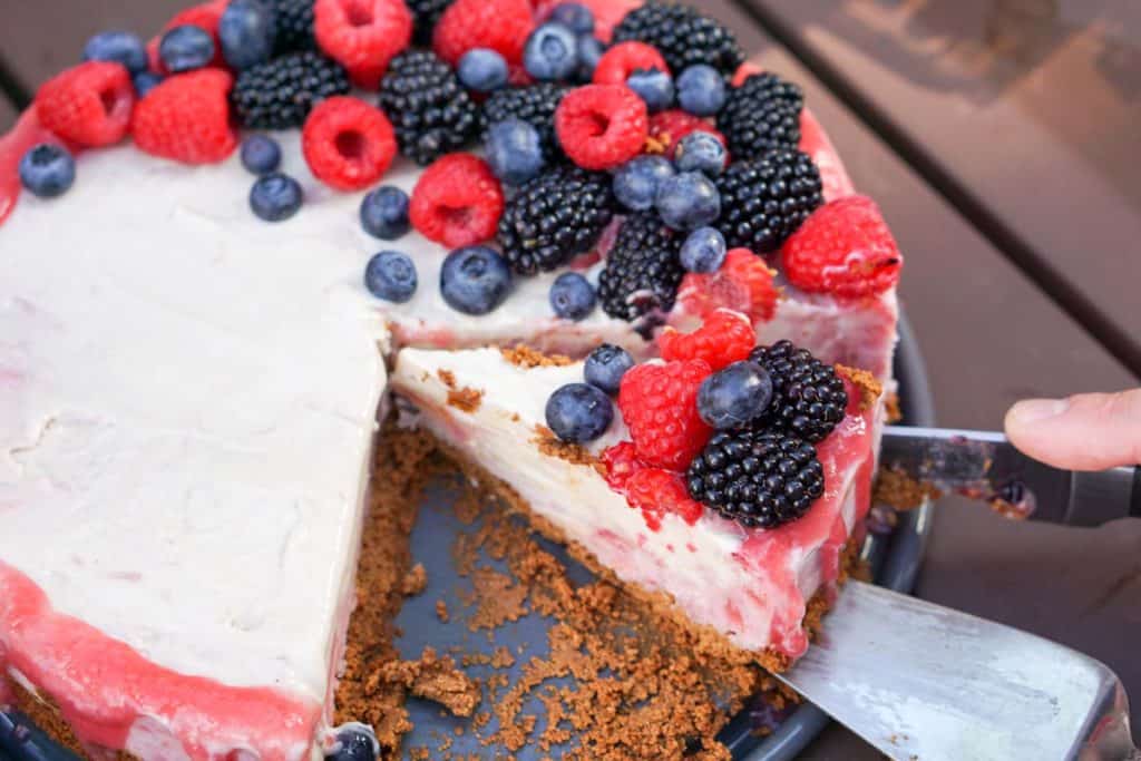 A slightly nutty and naturally fruit flavored Rhubarb Cashew Ice Cream Cake Recipe that's dairy free, gluten free, soy free, egg free and vegan.