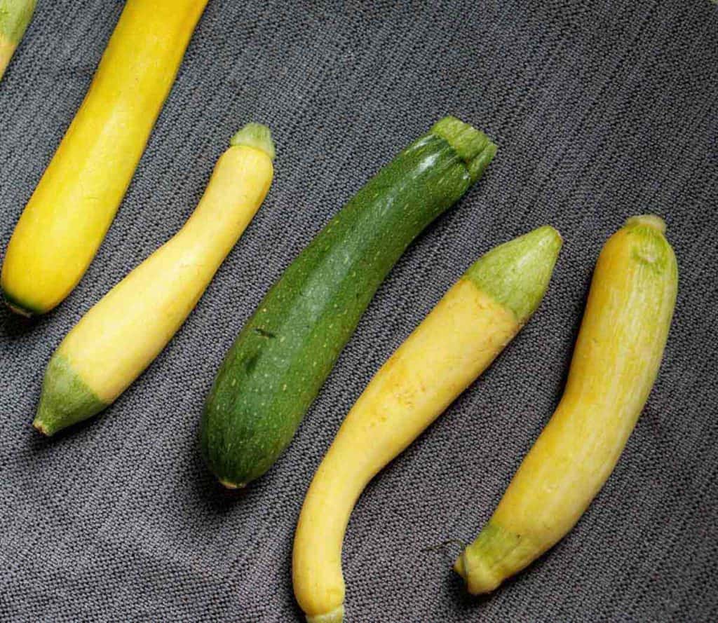 adorable little zucchinis from the CSA Roost Farms are perfect for individual zucchini bread