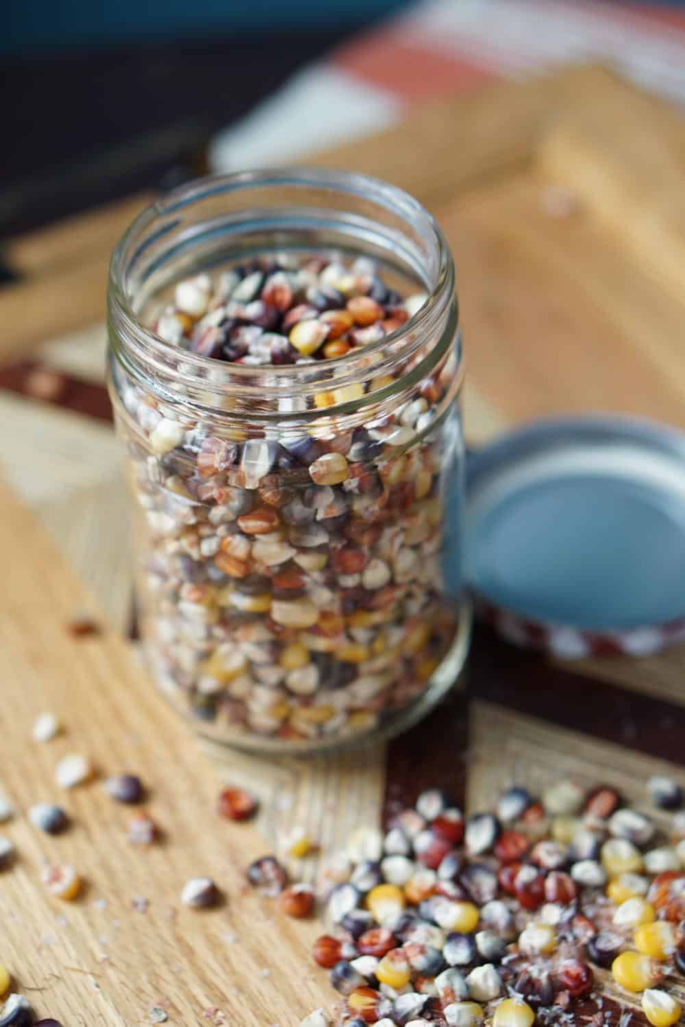 If like me after Thanksgiving you find yourself wondering: Can you eat Indian Corn? And if not, why is it on our table? Then, you're in luck! Read how to harvest and grind that colorful decorative corn into flour, to use it as popcorn, and how it evolved into Modern Sweet Cor