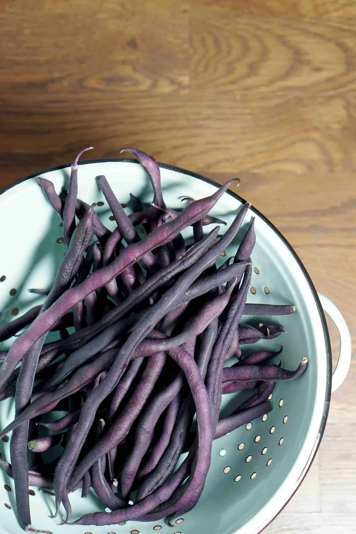 purple hyacinth beans in vintage colander