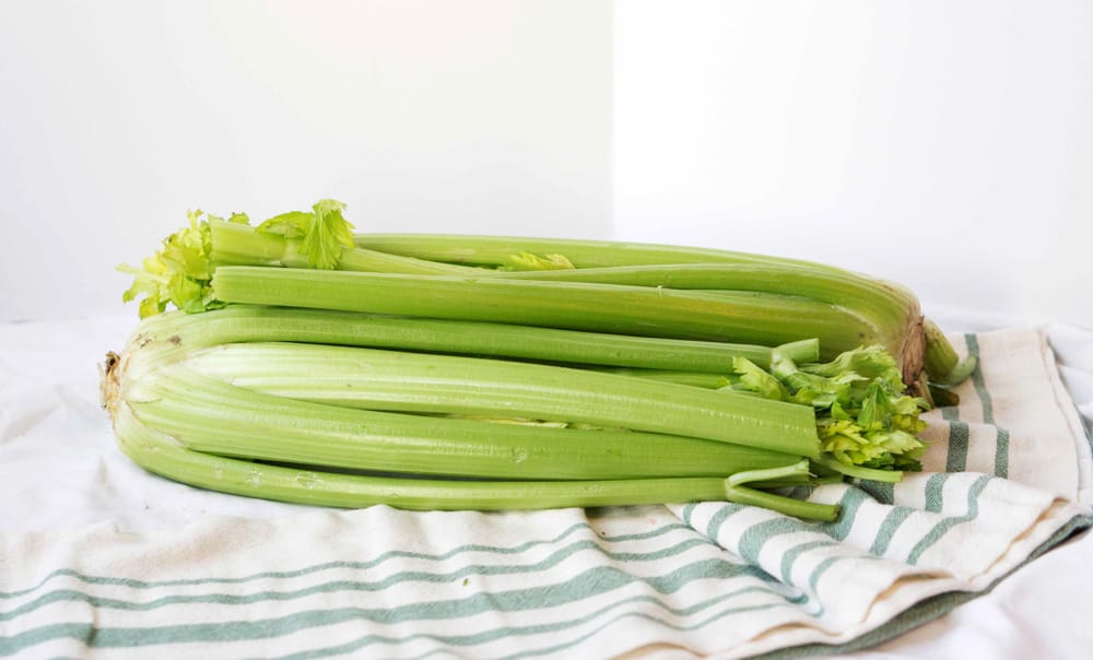 How long is celery good for? And how to keep it longer ...