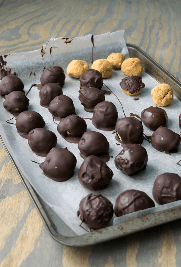 Paleo chocolate covered pumpkin pie bites are rich and creamy, densely packed with health-supporting spices and real pumpkin, stuffed with coconut butter and doused in chocolate.