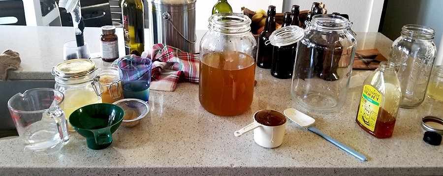 all the setup and tools for Home brewed Jun, a honey and green tea version of kombucha, 