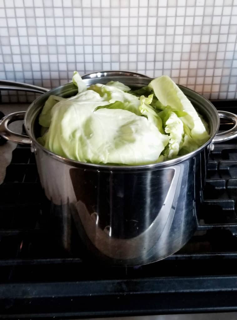 Par boiled Cabbage leaves, ready to make rolls