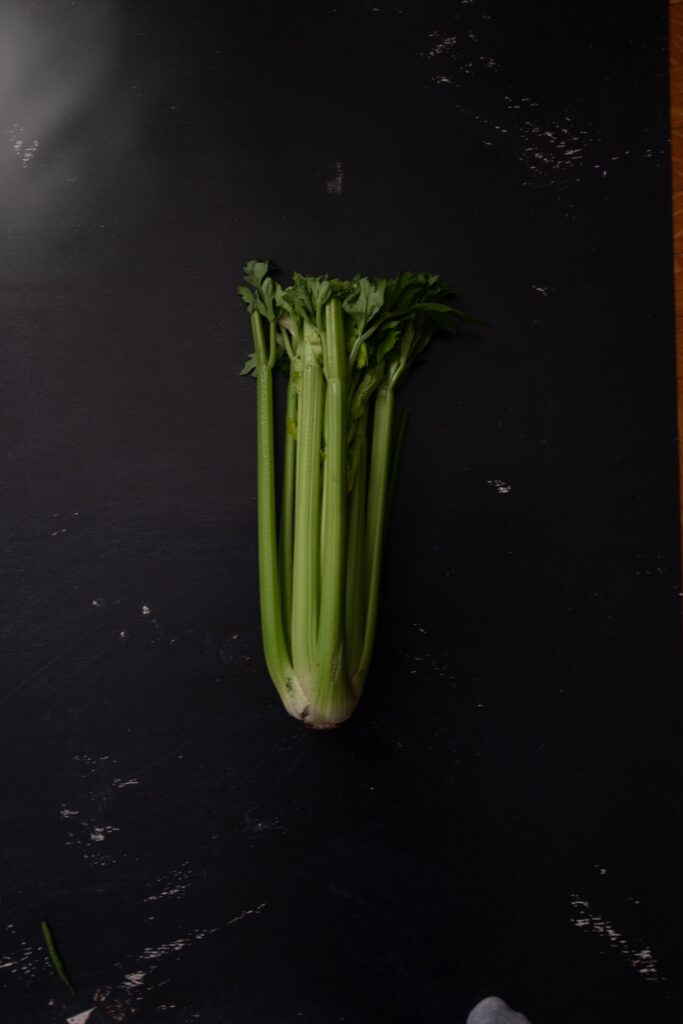 Full head or stalk of celery on black