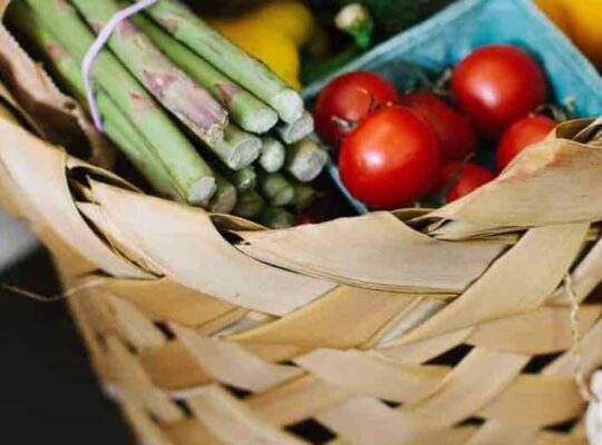 basket of fresh vegetable groceries