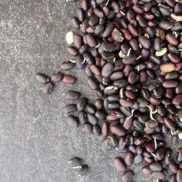 Sprouted Black Beans side