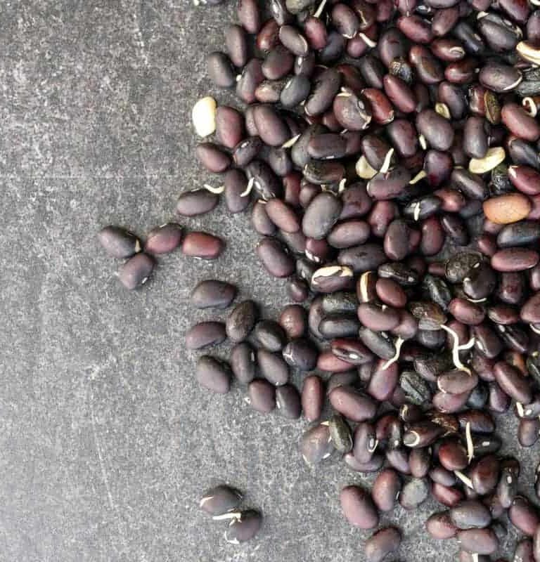 Sprouted Black Beans side