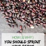 How & Why you should sprout your beans