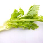 How long is celery good for? And how to keep it longer