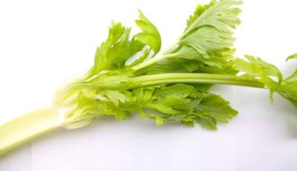 Celery RIb