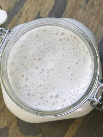 Overhead view of frothy Walnut milk in a mason jar