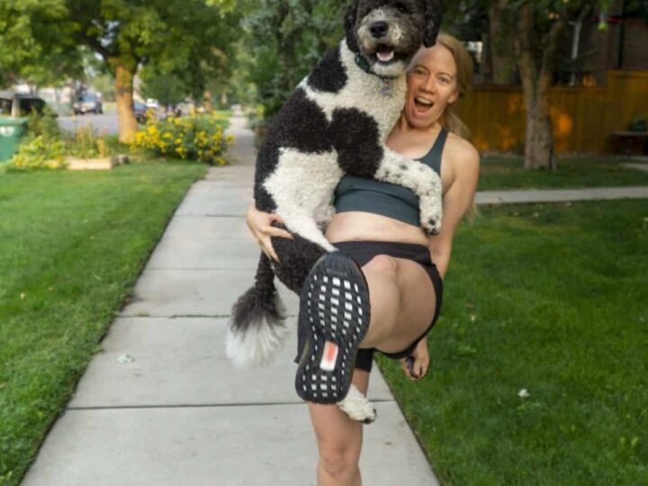 Woman carrying her bernadoodle and kicking leg up in excitement