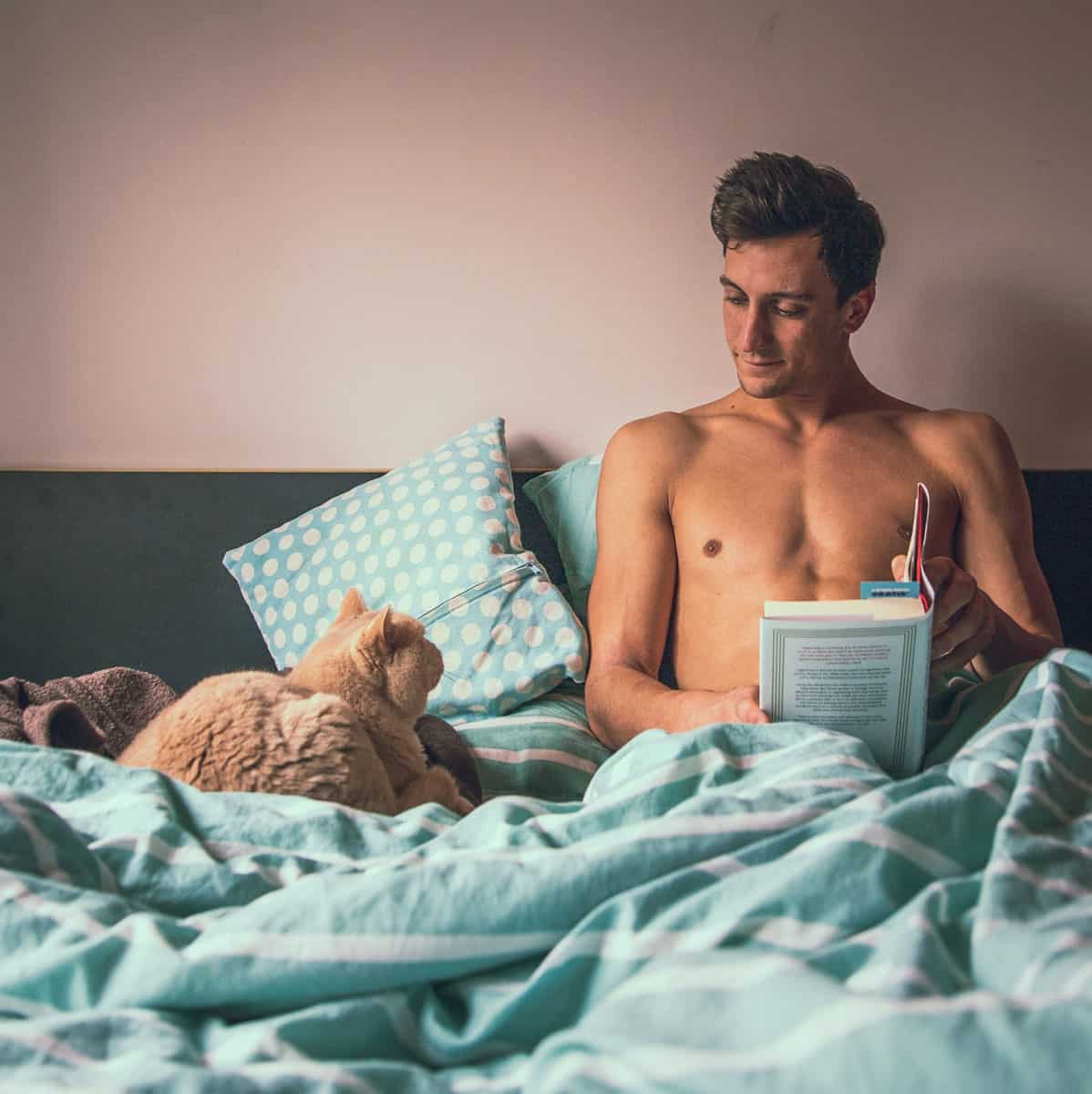 Man in bed reading hard cover book with cats